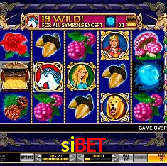 Descubra a Magia dos Jogos de Arcade no sibet